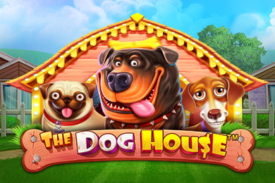 The Dog House онлайн Default